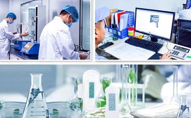 廣東冰冰護理：醫(yī)療器械制造的卓越品質(zhì)保障